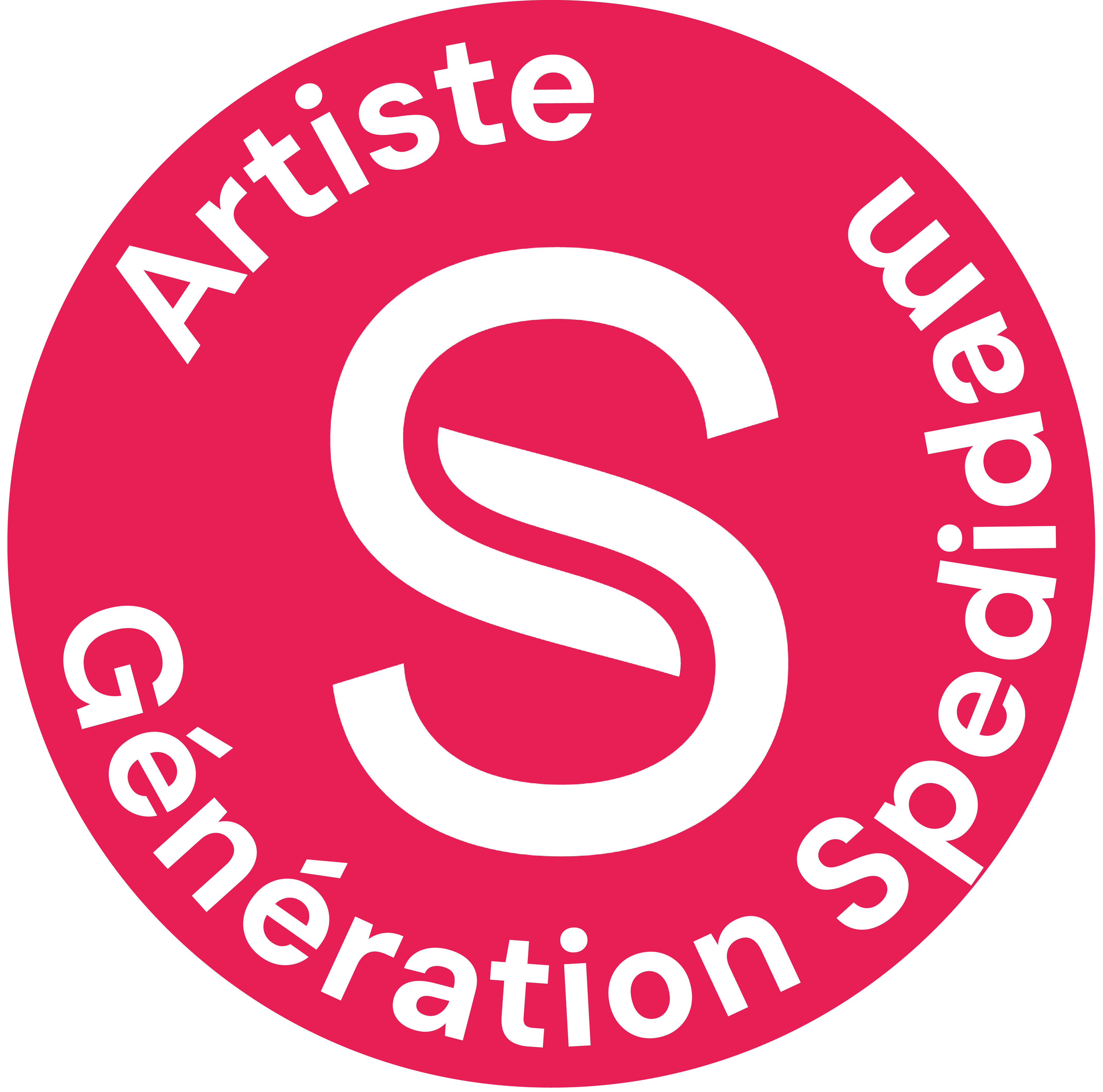 logo spedidam